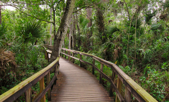 27 Of The Best State Parks In Florida That Will Blow Your Mind