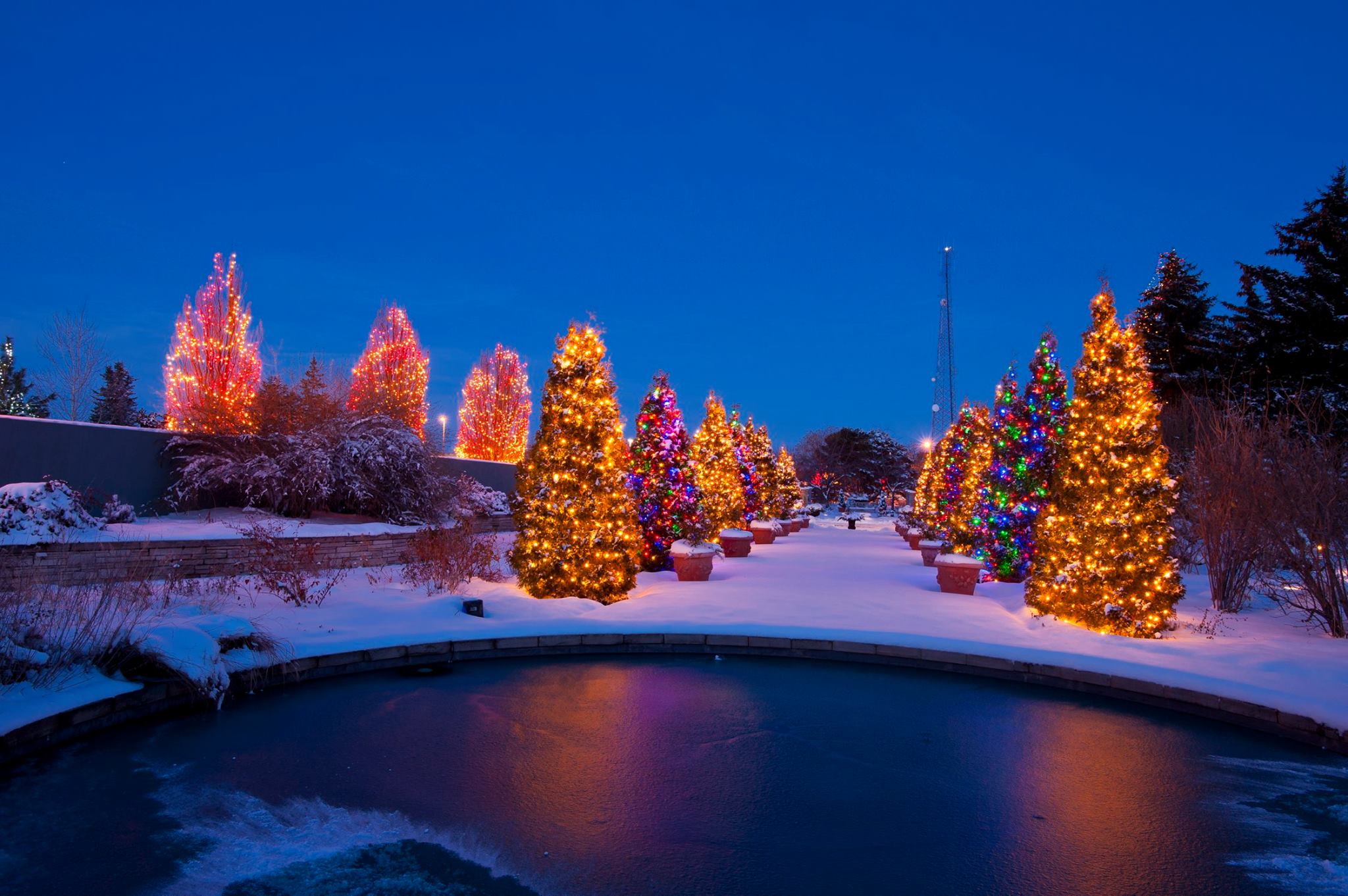 Here Are 8 Of The Best Christmas Decorations In Colorado