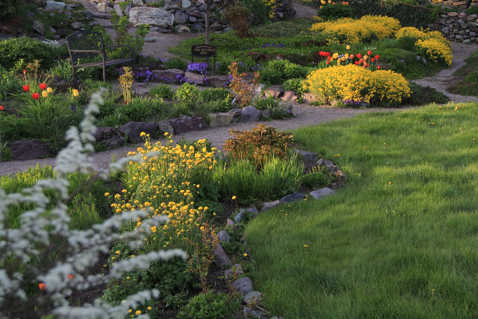 When to plant your garden in montana