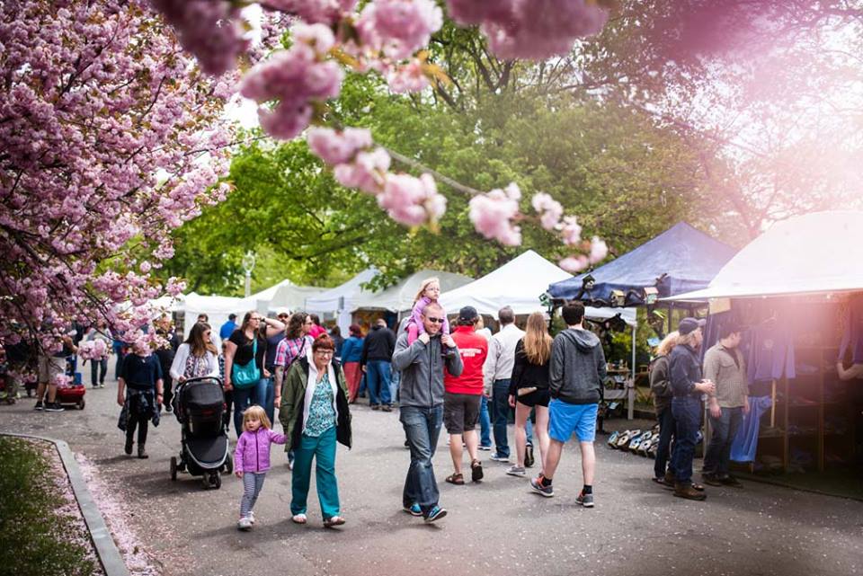 You'll Want To Visit The Rochester Lilac Festival In New York