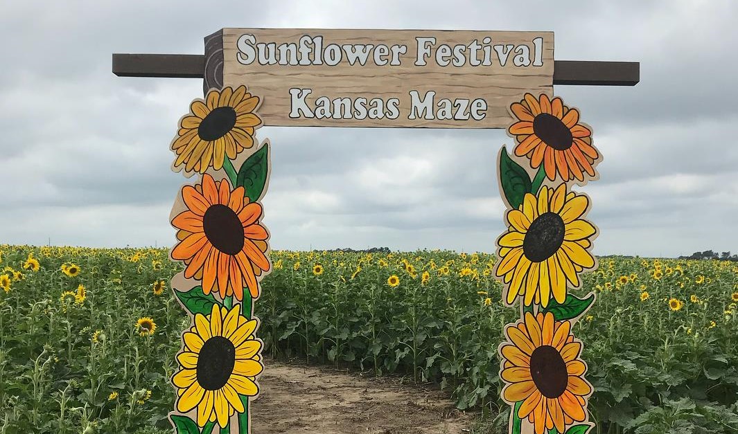 A Sunflower Festival In Kansas For The Whole Family Only In Your State
