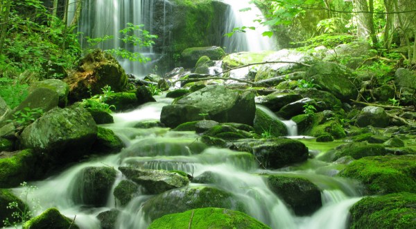 These 19 Virginia Waterfalls Are Absolutely Breathtaking
