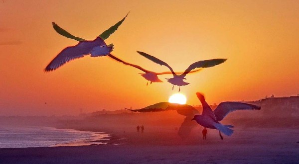 These 20 Unforgettable Sunsets In South Carolina Will Leave You In Awe