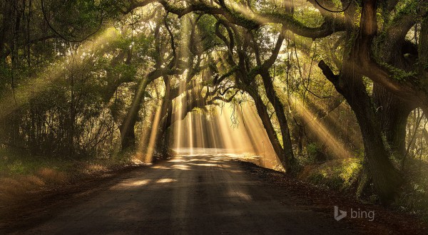 17 Of The Most Romantic Places In South Carolina For That Unforgettable Kiss