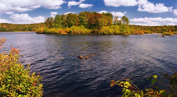 These Gorgeous Lakes In Pennsylvania Are Demanding Your Attention This Summer