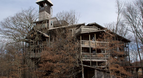 The Inside Of This Huge Tree House in Tennessee Will Blow Your Mind
