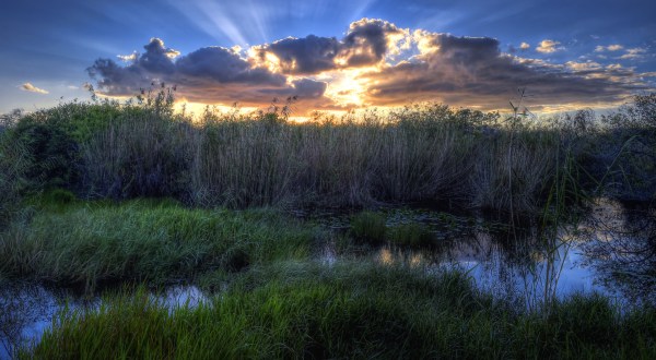 These 19 Beautiful Florida Sunrises Will Have You Setting Your Alarm Early