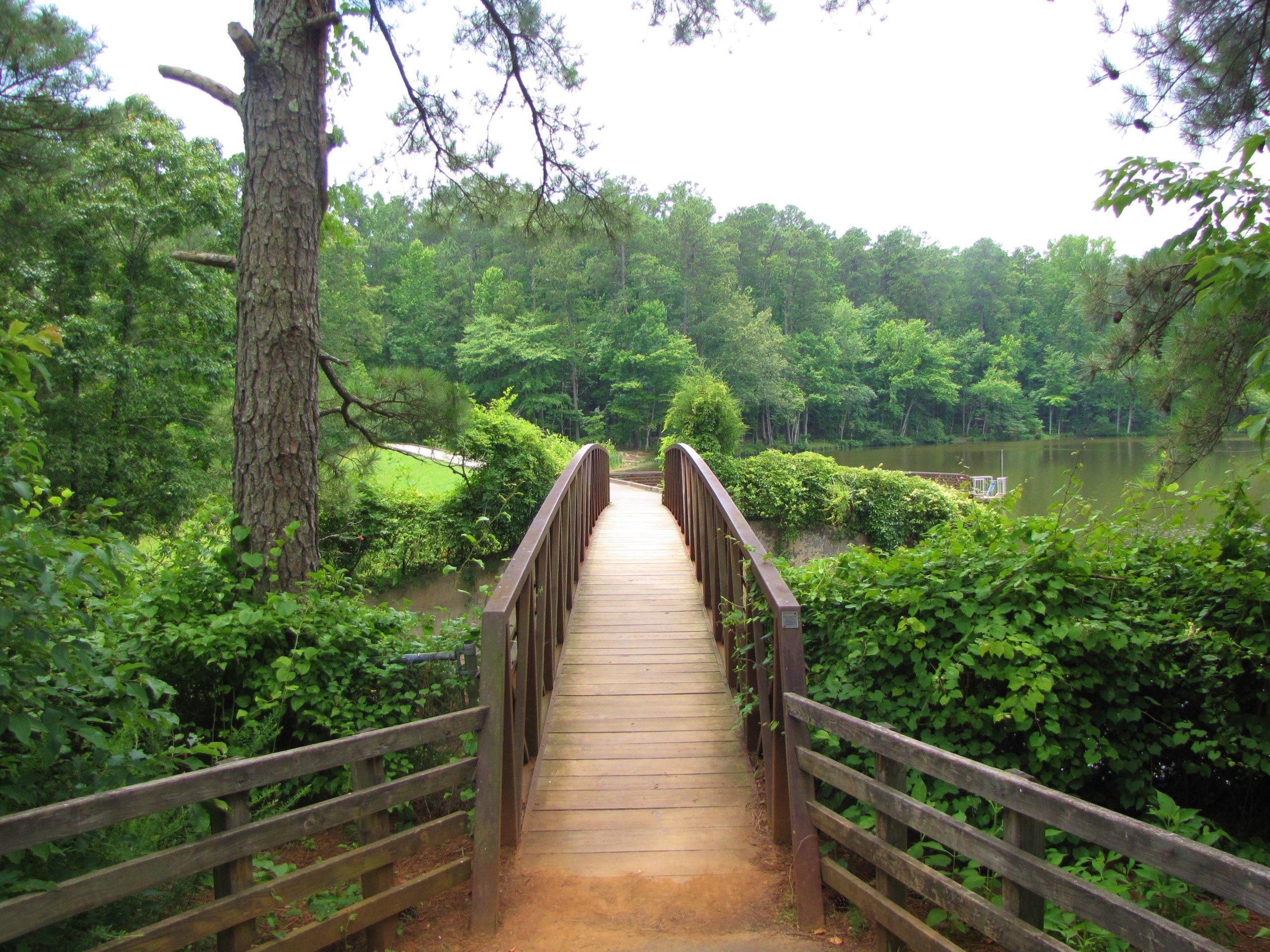 15 Most Beautiful State Parks In North Carolina To Explore
