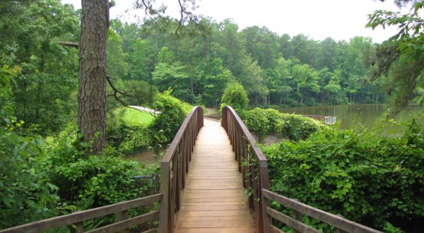 15 Gorgeous State Parks In North Carolina To Explore This Summer
