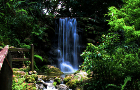 Most People Don't Know These 7 Waterfalls Are Hiding Right Here In Florida