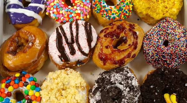 10 Best Places in Colorado to Get Your Doughnut On