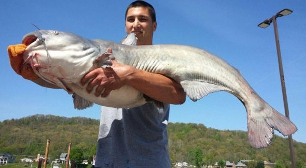 These 10 Strange But Totally Real World Records Are Held In West Virginia