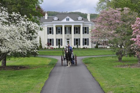 9 Unique And Relaxing Bed And Breakfasts Across Kentucky