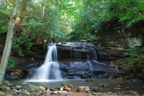 Here Are 5 Swimming Holes In West Virginia That Are Ideal For A Summer Adventure