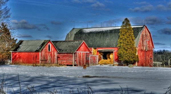 You Will Fall In Love With These 14 Beautiful Old Barns In Michigan