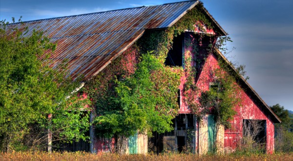 You Will Fall In Love With These 15 Beautiful Old Barns In Tennessee