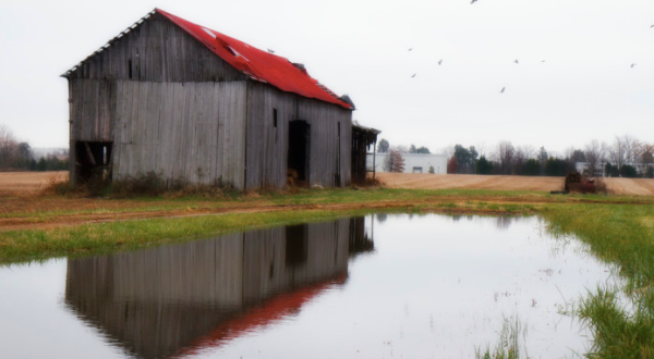 You Will Fall In Love With These 23 Beautiful Old Barns In Virginia