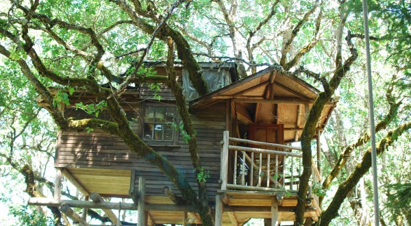 This Treehouse Resort In Oregon Will Give You An Unforgettable Experience