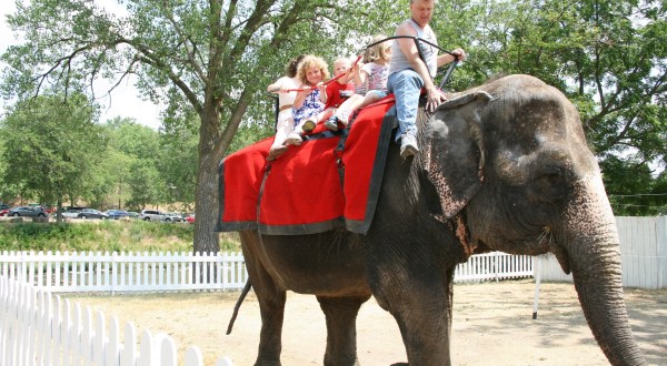 Here Are 15 Places in Wisconsin Your Child Will Love
