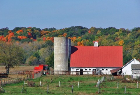 These 11 Farms In Illinois Will Bring Out The Country In You