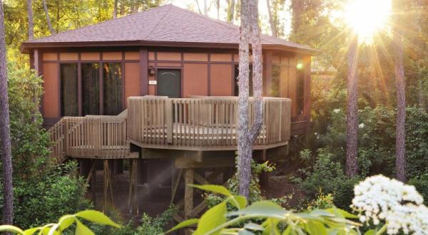 These 8 Treehouses In Florida Will Give You An Unforgettable Experience