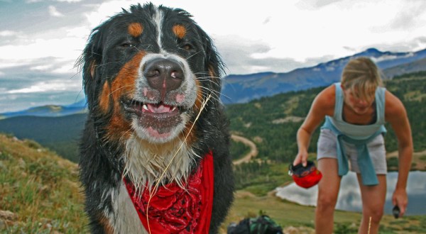 These 14 Hysterical Pictures Taken In Colorado Will Have You Laughing Out Loud