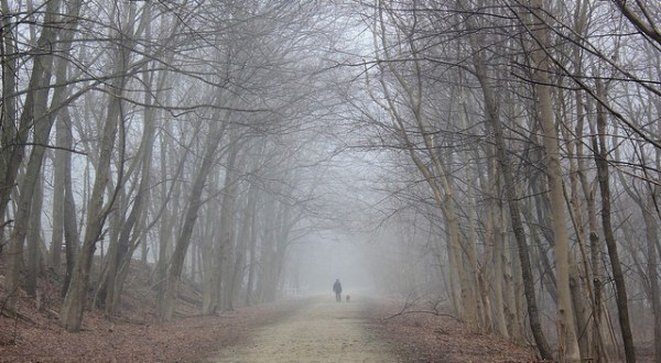 These 15 Haunting Photos Of Pennsylvania In The Fog Will Hypnotize You