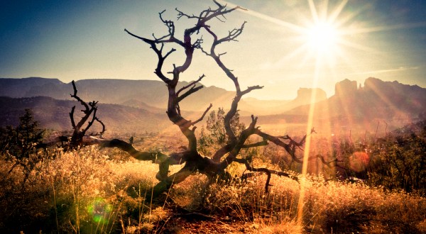 15 Eerie Shots In Arizona That Are Spine-Tingling Yet Magical
