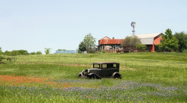 These 12 Charming Farms In Texas Will Make You Love The Country