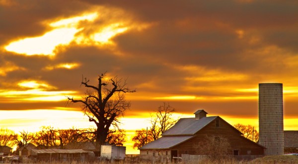 These 15 Charming Farms In Colorado Will Make You Love The Country