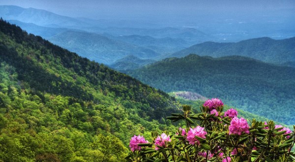 18 Things You’re Sure To Find In North Carolina