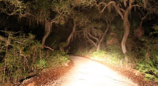 18 Eerie Shots In Florida That Are Spine-Tingling Yet Magical
