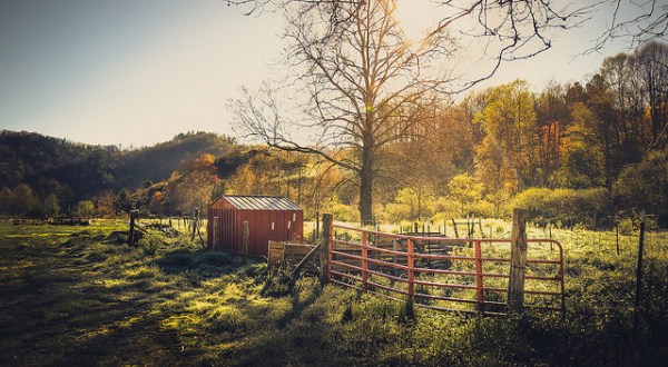 These 10 Charming Farms In North Carolina Will Make You Love The Country