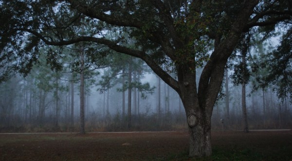 17 Eerie Shots In Georgia That Are Spine-Tingling Yet Magical