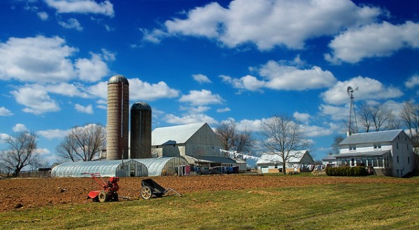 Here Are 10 Charming Pennsylvania Barns That Will Make You Fall In Love With The Countryside