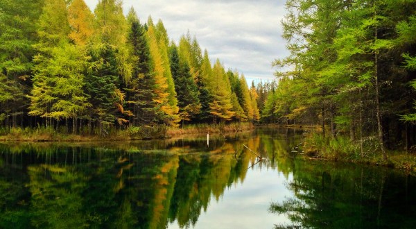 These 10 Amazing Spots In Michigan Are Perfect To Go Fishing
