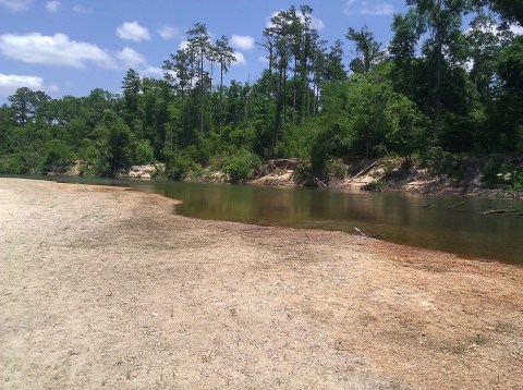 9 Unique Natural Areas To Swim In Louisiana This Summer