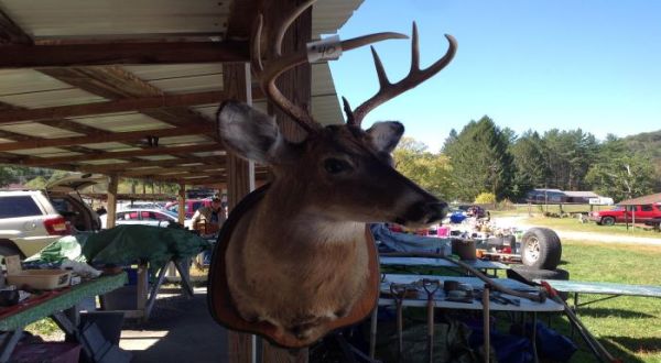 13 Must-Visit Flea Markets In West Virginia Where You’ll Find Awesome Stuff