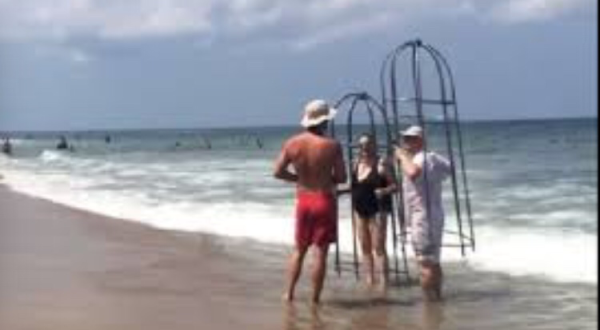 North Carolina Couple Has The Worst Idea Ever To Stop A Shark Attack