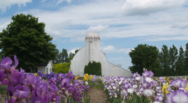 These 10 Charming Farms In Michigan Will Make You Love The Country