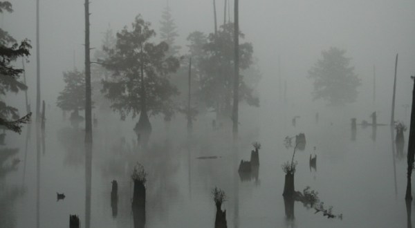 17 Eerie Photos In Mississippi That Are Spine-Tingling Yet Magical