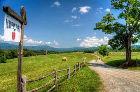 These 24 Charming Farms In Virginia Will Make You Love The Country