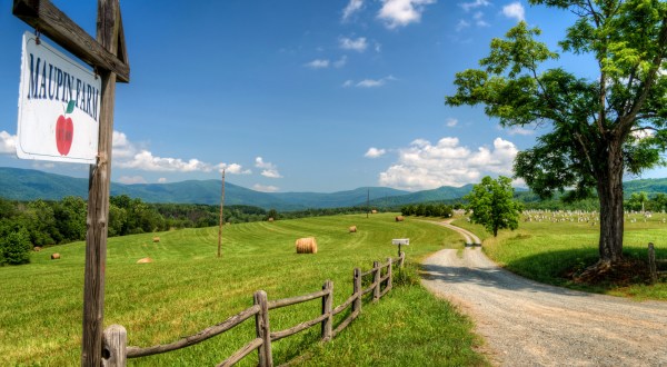 These 24 Charming Farms In Virginia Will Make You Love The Country