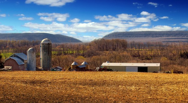 These 11 Charming Farms In New Jersey Will Make You Love The Country