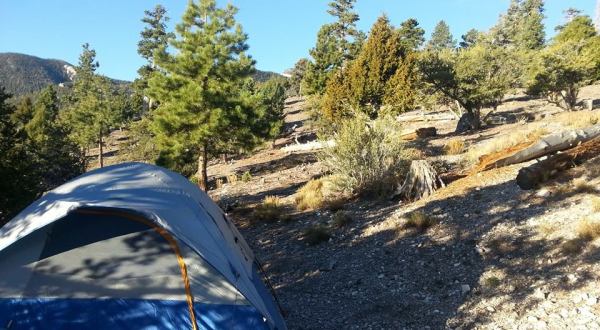These 10 Amazing Camping Spots In Nevada Are An Absolute Must See