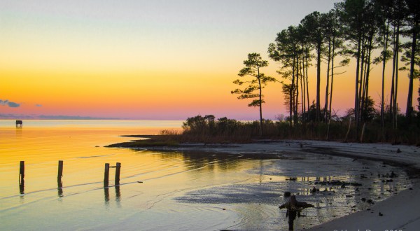 Everyone From Virginia Should Take These 12 Awesome Vacations