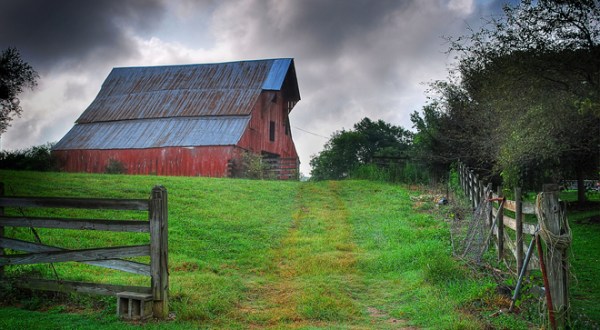 These 15 Charming Farms In Tennessee Will Make You Love The Country