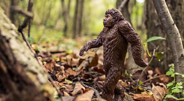 You Won’t Believe These 7 Incredible Bigfoot Sightings Caught On Tape In Pennsylvania