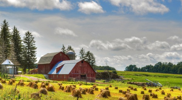 These 11 Farms In Wisconsin Will Bring Out The Country In You
