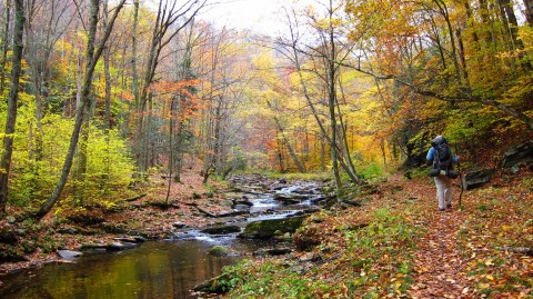 These 12 Amazing Camping Spots In West Virginia Are An Absolute Must See
